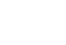 Plant And Love -The Plant and Love